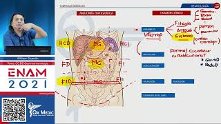 Examen físico del abdomen Semiología en gastroenterología [upl. by Attenrad]