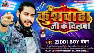 कुशवाहा जी के दिलवा  Ziddi Boy Chandan के नया धमाका  Kushwaha Ji Ke Dilwa  New Viral Song 2023 [upl. by Sgninnej]