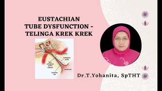 EUSTACHIAN TUBE DYSFUNCTION  TELINGA KREK KREK  DrTYohanita SpTHT [upl. by Marnia907]