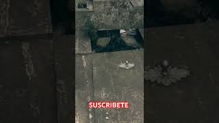 BRUJERÍA ENCONTRADA EN EL CEMENTERIO DE MORENO paranormal miedo misterio brujeria brujas [upl. by Burrus]