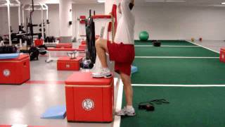 Psoas Iliacus Strengthening Exercises [upl. by Kurland]