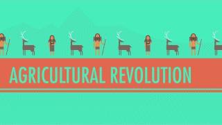 The Agricultural Revolution Crash Course World History 1 [upl. by Hach]