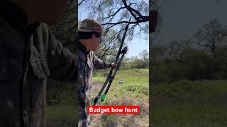 Hunting with a 30lb longbow bowsandarrows archery deerhunting hunting bowhunting survival [upl. by Imoin187]