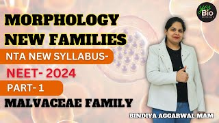 Morphology of flowering plants  new families  MALVACEAE  neet 24  class11 biology  part 1 [upl. by Adnalram]