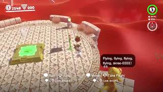 Super Mario Odyssey  Tostarena Ruins Entrance to Round Tower in sub19 seconds [upl. by Geno]