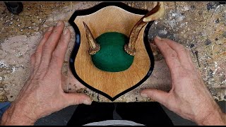 DIY How To Make an Antler Plaque [upl. by Leroi]