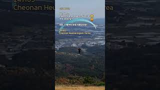 무풍에서 비행  😁😜 Paragliding Hang gliding 지혜 좋은 글 [upl. by Ettenej]