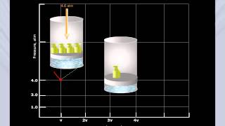 Boyles Law Graph [upl. by Graehl]