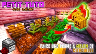 Petit Tuto Minecraft  Faire une ferme à Melons et Citrouilles 🍉🎃 [upl. by Cuyler]