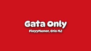 Gata Only  FloyyMenor Cris MJ LetraLyrics [upl. by Wiatt]