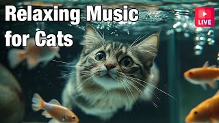 🔴LIVE Cat Music for Relaxation🎵 Calming Music for Cats🐶 🎵 Separation Anxiety Music for Cats Relax🔴 [upl. by Anaitsirc]