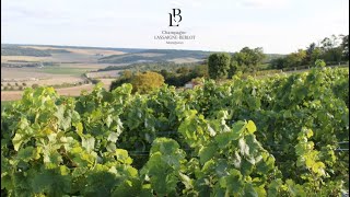 Champagne LassaigneBerlot  Vendanges 2020 [upl. by Jeth]