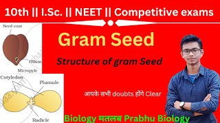 Gram Seed  Structure of Gram Seed neet biology gram [upl. by Llenoj]