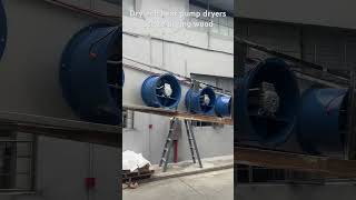 Drytech Heat Pump Dryers exported to Zambia use to drying wood dryingmachine fooddryer wooddryer [upl. by Llennoc152]