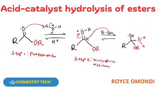 ACIDCATALYSED HYDROLYSIS OF ESTERS hydrolysis esterification [upl. by Alvie119]