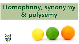 Homophony Synonymy Polysemy [upl. by Batholomew]