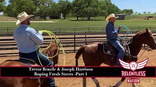 Trevor Brazile and Joseph Harrison Roping Fresh Cattle  Part 1 [upl. by Eiramnna460]