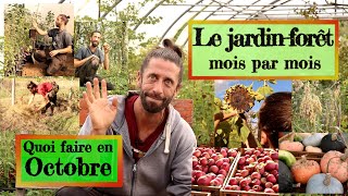 Jardinforêt en Permaculture Que faire en Octobre [upl. by Atkinson]