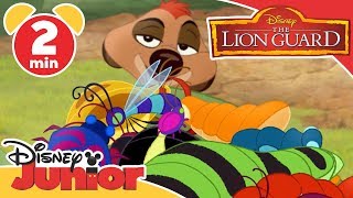 The Lion Guard  DJ On Safari Grubs  Disney Junior UK [upl. by Arekat]