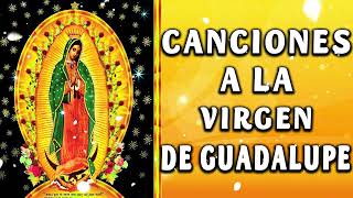 Canciones a la Virgen de guadalupe💐Devocion Virgen de Guadalupe🌹Novena a la Virgen de Guadalupe💖 [upl. by Ennayt]