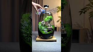 Realistic and natural plants in aquarium shorts [upl. by Japeth]