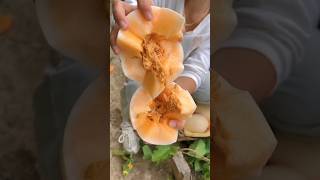 Buah melon warna putih daging yang tebal fruit buahbanyak [upl. by Nnayllas]