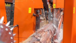 First Cuts Wood Mizer SLP Line and LT20 cutting Rubberwood in Thailand [upl. by Connelley733]