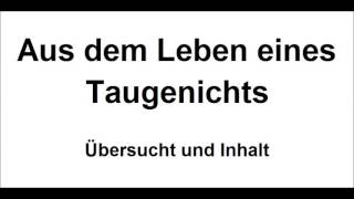 Joseph von Eichendorff Aus dem Leben eines Taugenichts  Übersicht Inhalt und Zusammenfassung [upl. by Yddub]