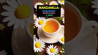 🌼 Descubre los Beneficios de la Manzanilla 🌼 [upl. by Colfin]