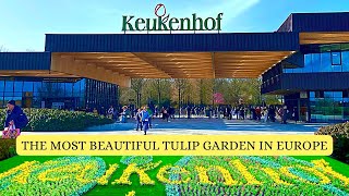 Visit KEUKENHOF Tulip Gardens  The Largest Flower Garden in Netherlands Europe [upl. by Cheria]