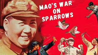 Why Mao Zedongs Four Pests Campaign may be Historys Most BirdBrained Blunder [upl. by Ettevey]