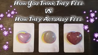 🦢💕 How You Think They Feel VS How They Actually Feel Towards You 🦢💕 🌟 Pick A Card Love Reading [upl. by Hamlani]