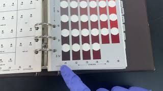 Munsell Soil Color Chart Tutorial [upl. by Einimod379]