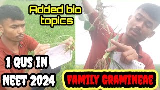 Added syllabus of biology neet family poaceae  Gramineae neet2024 biology doctor [upl. by Viviane373]