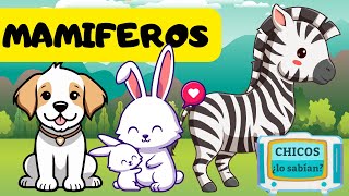 Los Mamíferos para niños  Videos Educativos para Niños 🐕🐈 🐄🐖🐪 [upl. by Eynaffit483]