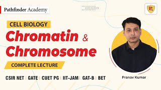 Chromatin and Chromosome  Cell Biology  Pranav Kumar  CSIR NET  GATE  DBT  ICMR  IIT JAM [upl. by Ztirf5]