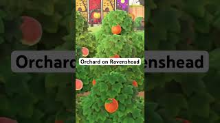 Orchard on Ravenshead acnhgameplay acnhcommunity animalcrossinggames fun gaming shorts [upl. by Raphaela226]