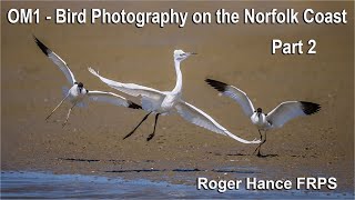 OM1  Bird Photography on the Norfolk Coast  Part 2 [upl. by Limbert1]