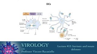 Virology 2014 lecture 13  Intrinsic and innate defenses [upl. by Rebbecca]