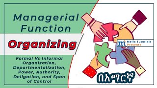 Organizing in Management በአማርኛ [upl. by Mandi]