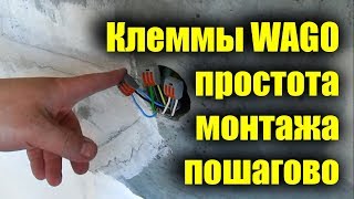 Установка клемм WAGO Разветвление кабеля 220 В [upl. by Nessy]