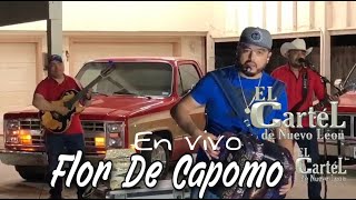 EL CARTEL DE NUEVO LEON  FLOR DE CAPOMO EN VIVO 2021 [upl. by Llehsam]