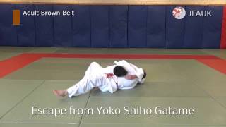 JFAUK Grading Syllabus Adult Brown Belt [upl. by Eycal219]