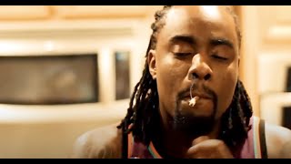 Wale  Good Vibes Za Visualizer [upl. by Esor]