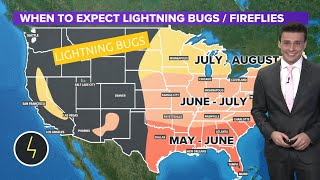 When is lightning bug and firefly season [upl. by Shanney]