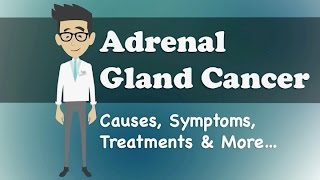 Adrenal Gland Cancer  Causes Symptoms Treatments amp More… [upl. by Tutto]