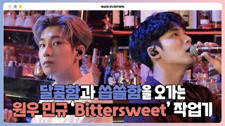 INSIDE SEVENTEEN WONWOO X MINGYU ‘Bittersweet feat LeeHi’ BEHIND [upl. by Eilagam]