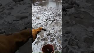 WHAT THE HELL IS THIS More Unusual Sixmile Creek Under the Bridge in Ithaca New York Cornell [upl. by Delwyn]