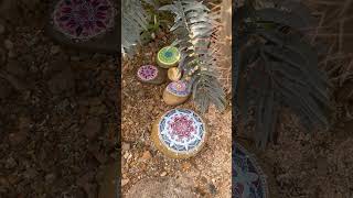 xerophytes🌵… plants lives in desert 🏜️ areas … mandala ⚛️art🏵️☯️…  youtube shorts  trending🎉 [upl. by Sterrett267]