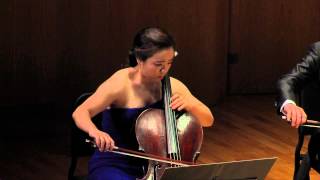 Tomaso AlbinoniAdagio for 12cellos [upl. by Dannica]